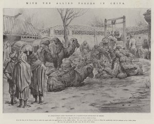 Med de allierte styrkene i Kina av Johann Nepomuk Schonberg